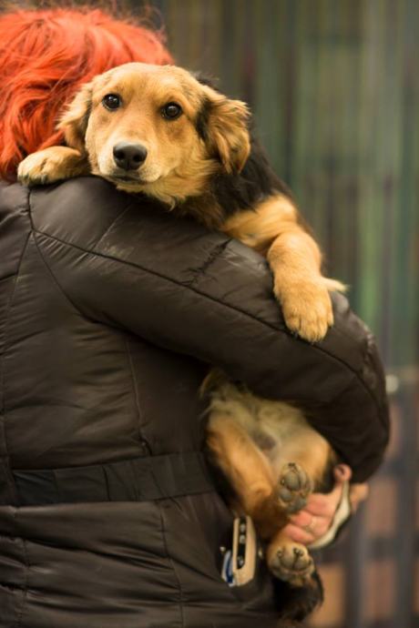 Chery mery барнаул Chery mery барнаул
