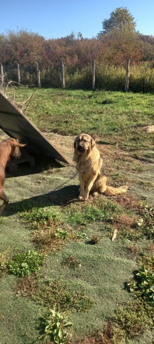 Scarpe Slip Vans Slip On Bambino Prezzo Basso Scarpe Bambino/a