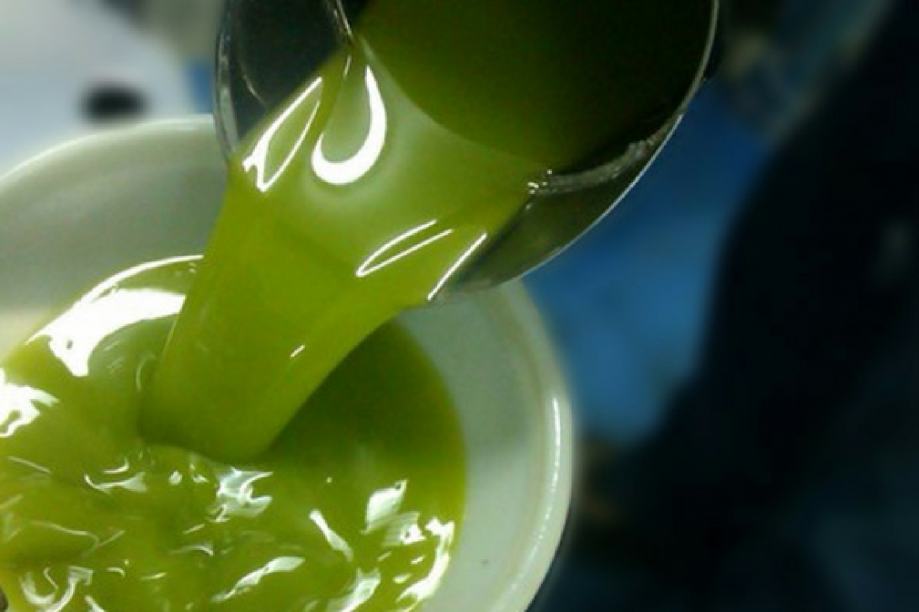 Extra djevičansko maslinovo ulje (Istra), mlado ulje, berba 2023