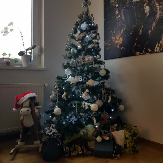Božićna drvca - povoljno!!