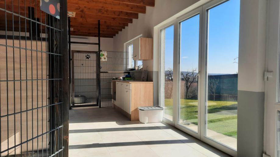 Čuvanje pasa Happv dog hotel za pse