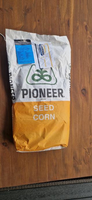 Pioneer p9757 Sjemenski kukuruz