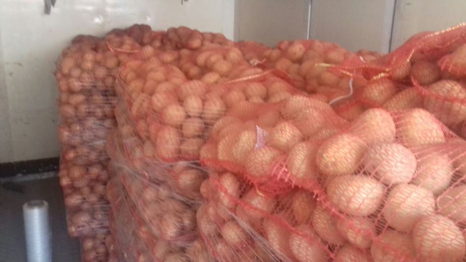 *Krumpir CRVENI * 1.50kn/kg