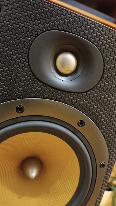 Bowers & Wilkins ( B&W ) DM 602 S3
