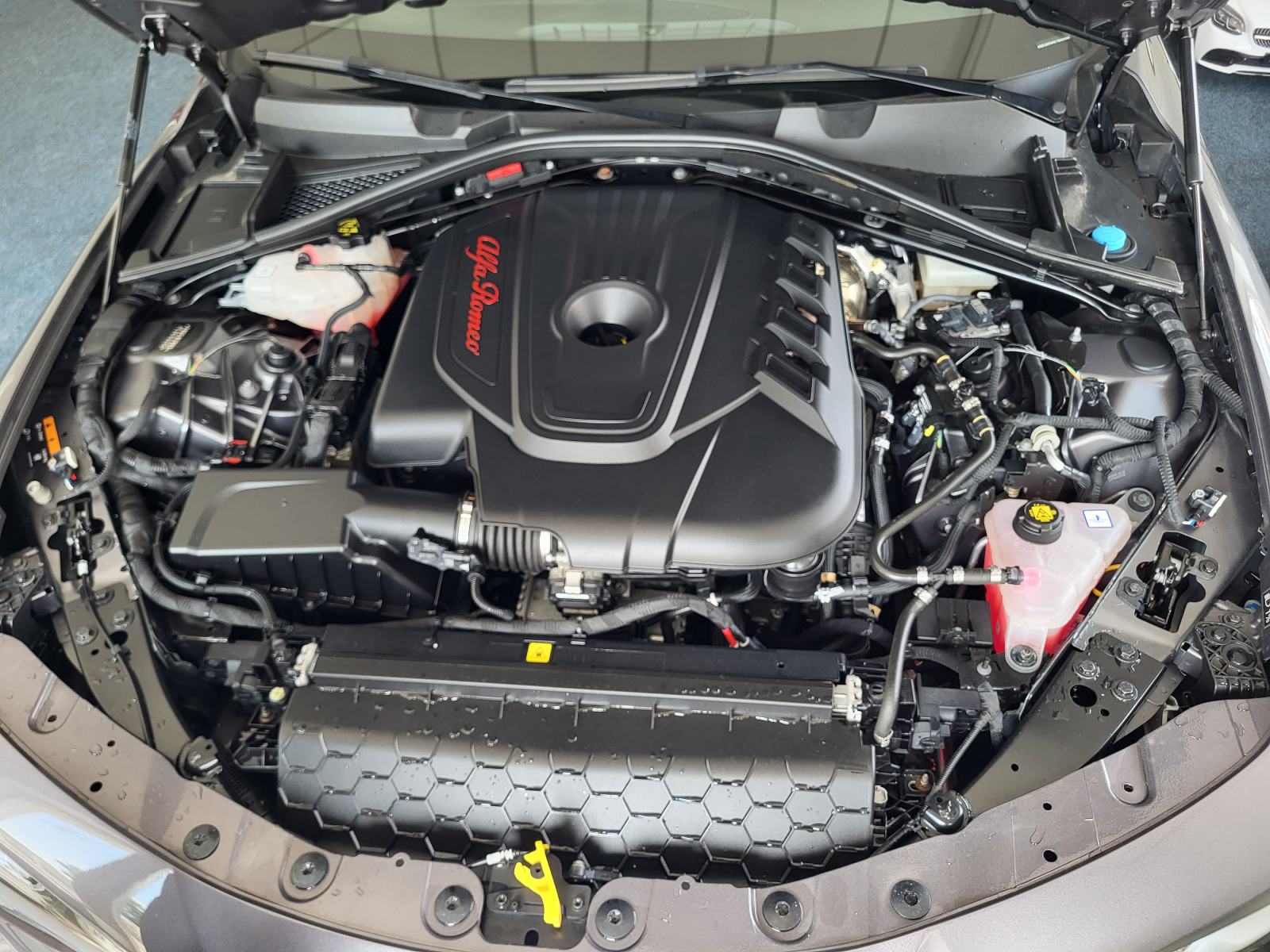 ALFA GIULIA Q4 VELOCE 2.2 JTDM AUTOMATIK KAMERA RADAR KOŽA F1 KEYLESS, fotografija 14