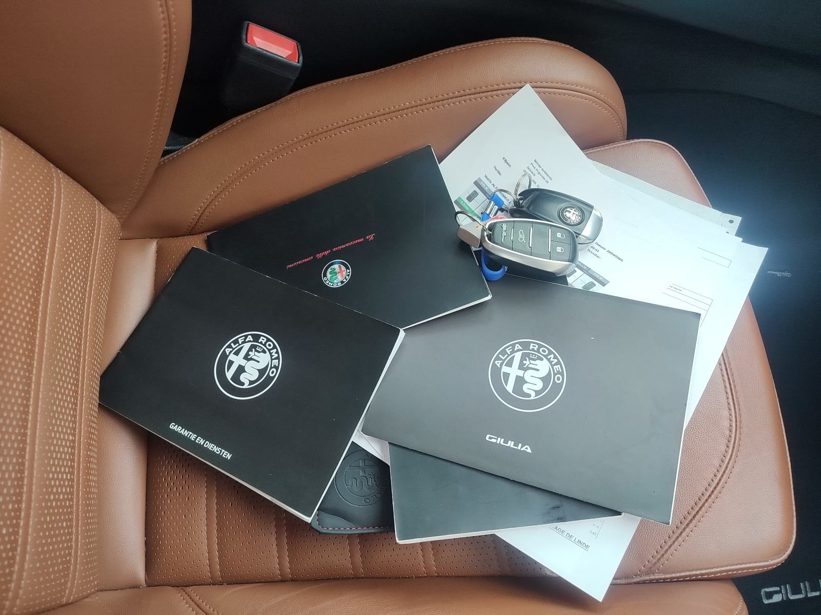 Alfa Romeo Giulia 2,0 Turbo automatik,Panorama, fotografija 7