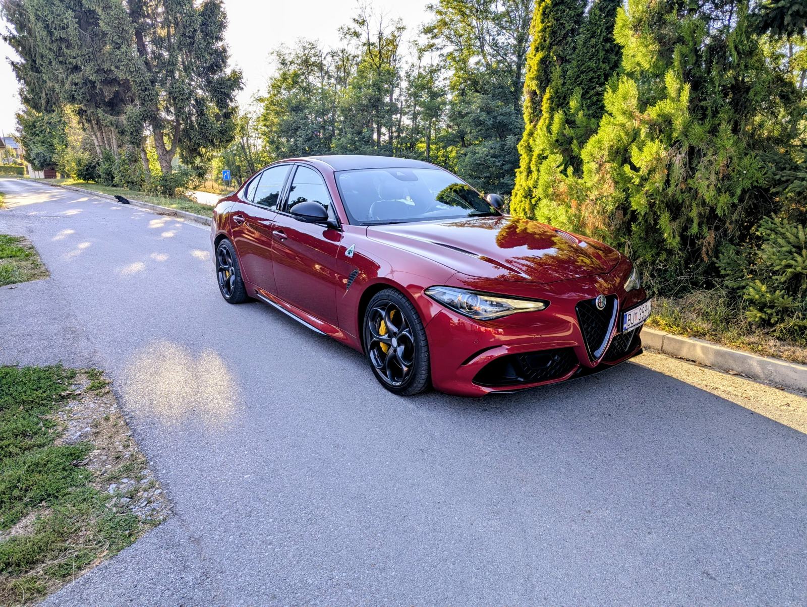 Alfa Romeo Giulia 2,9 V6, fotografija 1