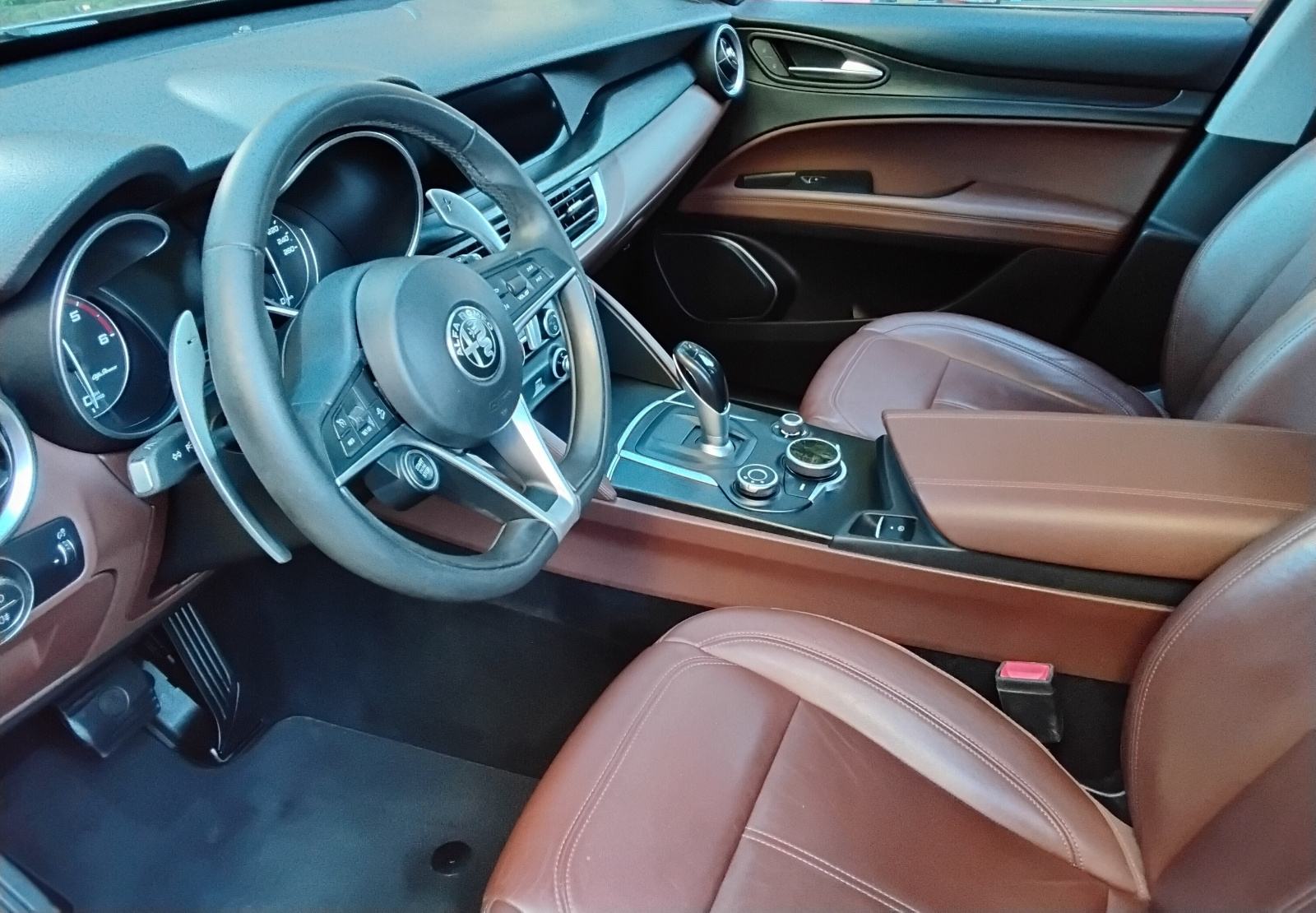 Alfa Romeo Stelvio 2,2 Diesel automatik F1,PANO,XENON,LED,NAVI,..., fotografija 12