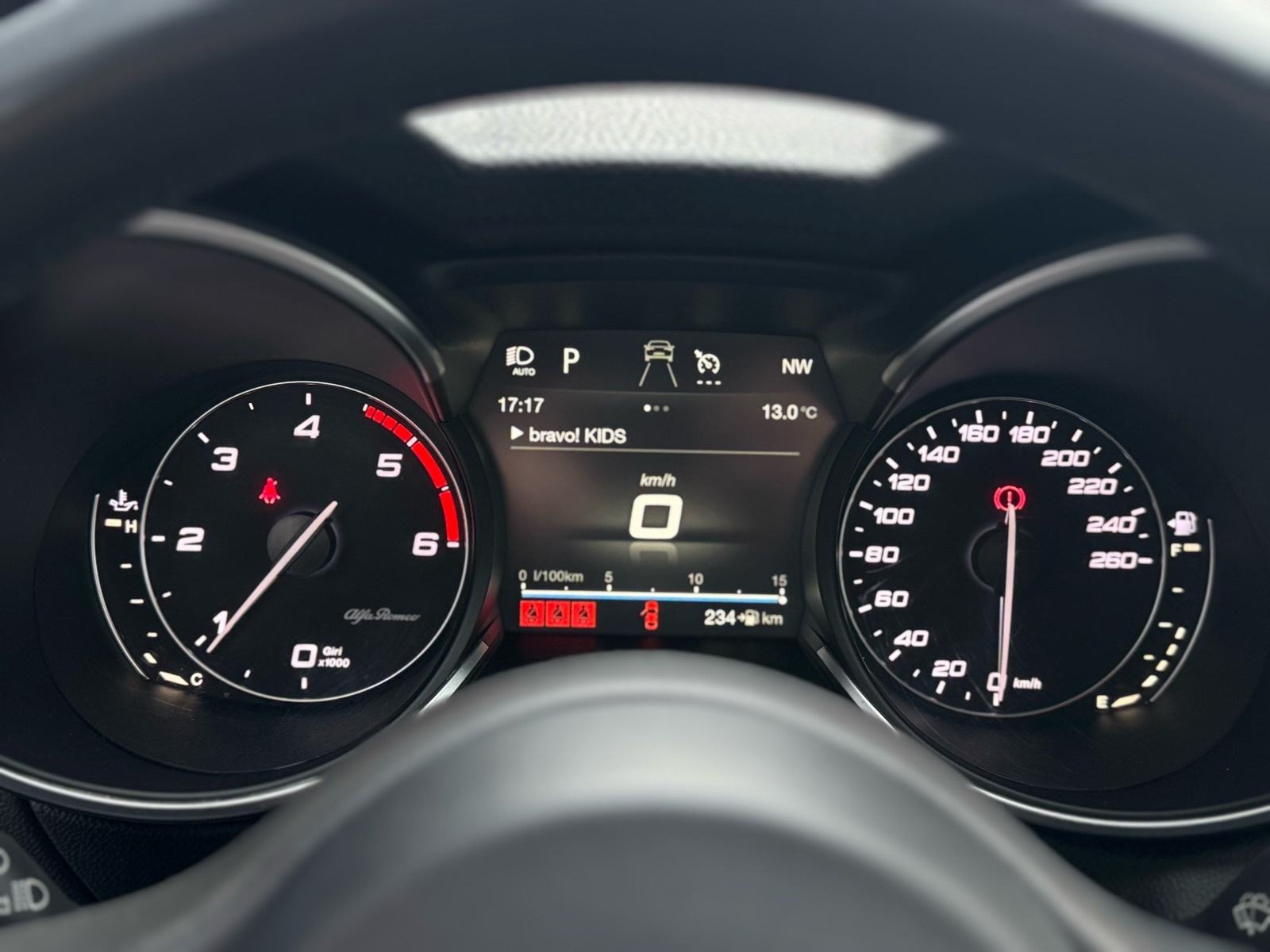 Alfa Romeo Stelvio 2,2 JTDm Q4 210ks -Koža•Veliki servis•Velika Navi, fotografija 19