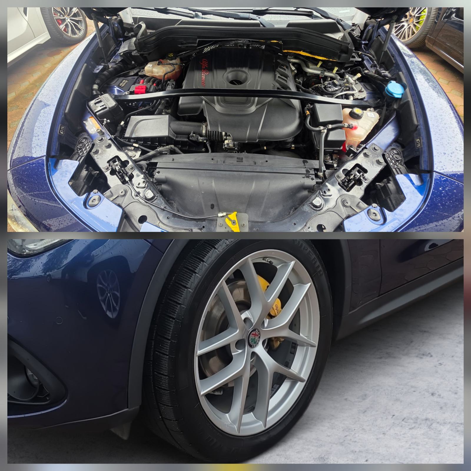 Alfa Romeo Stelvio 2,2D, 4X4, F1 AUT, BI-XENON, AUT, NAVI, REG 02/2O27, fotografija 10