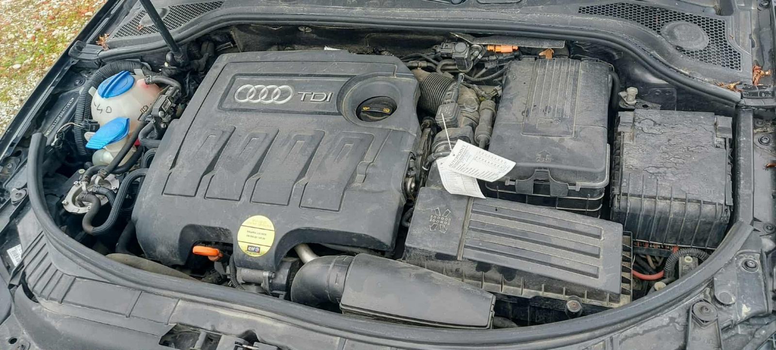 Audi A3 1,6 TDI xenon, fotografija 14