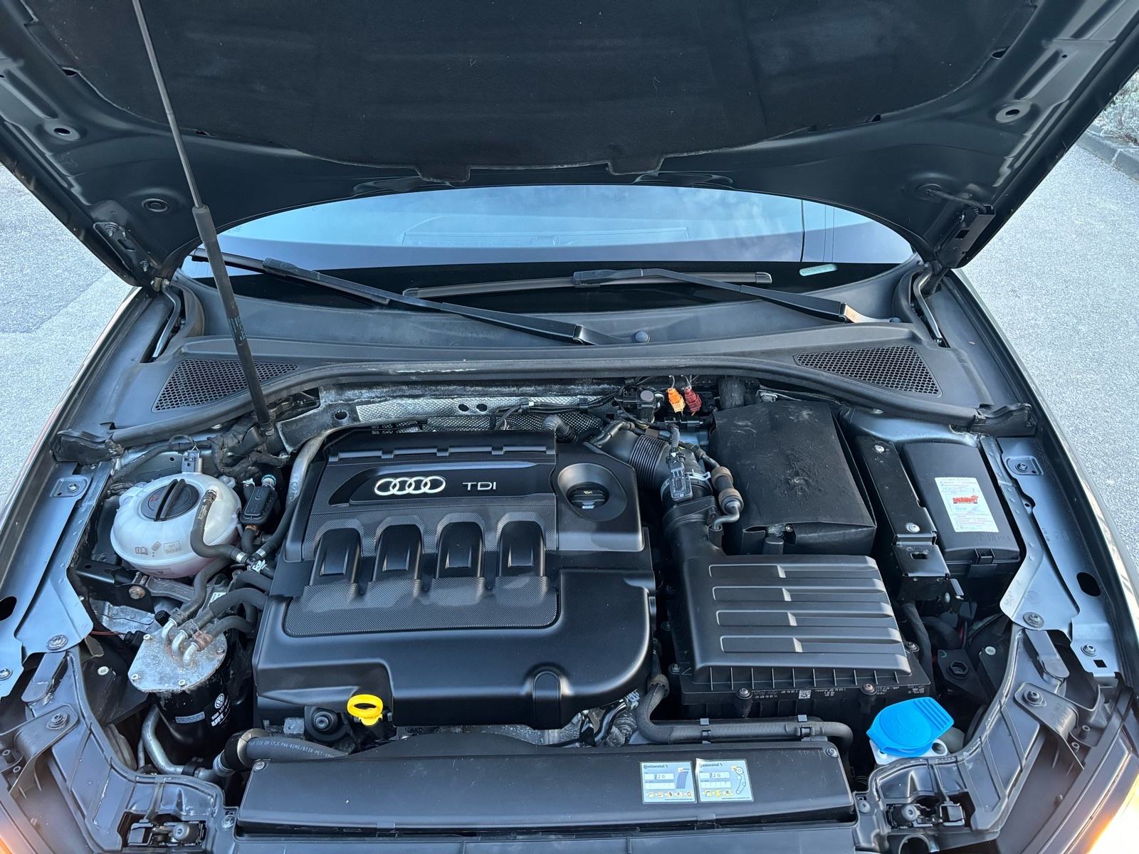 Audi A3 1,6 TDI, fotografija 18
