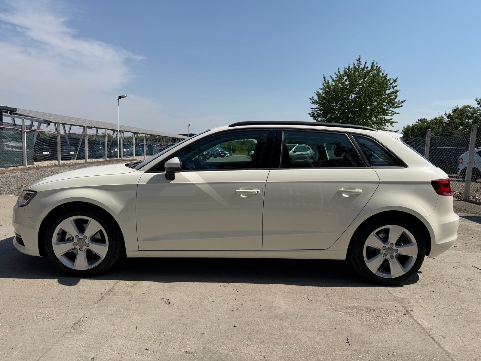 Audi A3 1,6 TDI,SPORT,Bixenon,Led!!, fotografija 6
