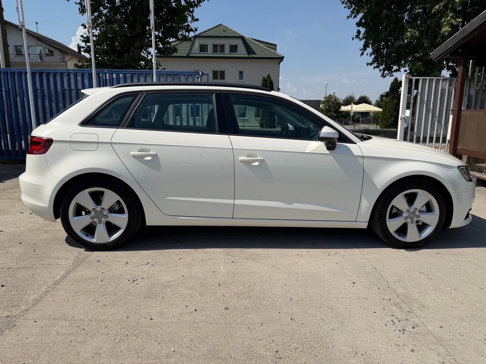 Audi A3 1,6 TDI,SPORT,Bixenon,Led!!, fotografija 5