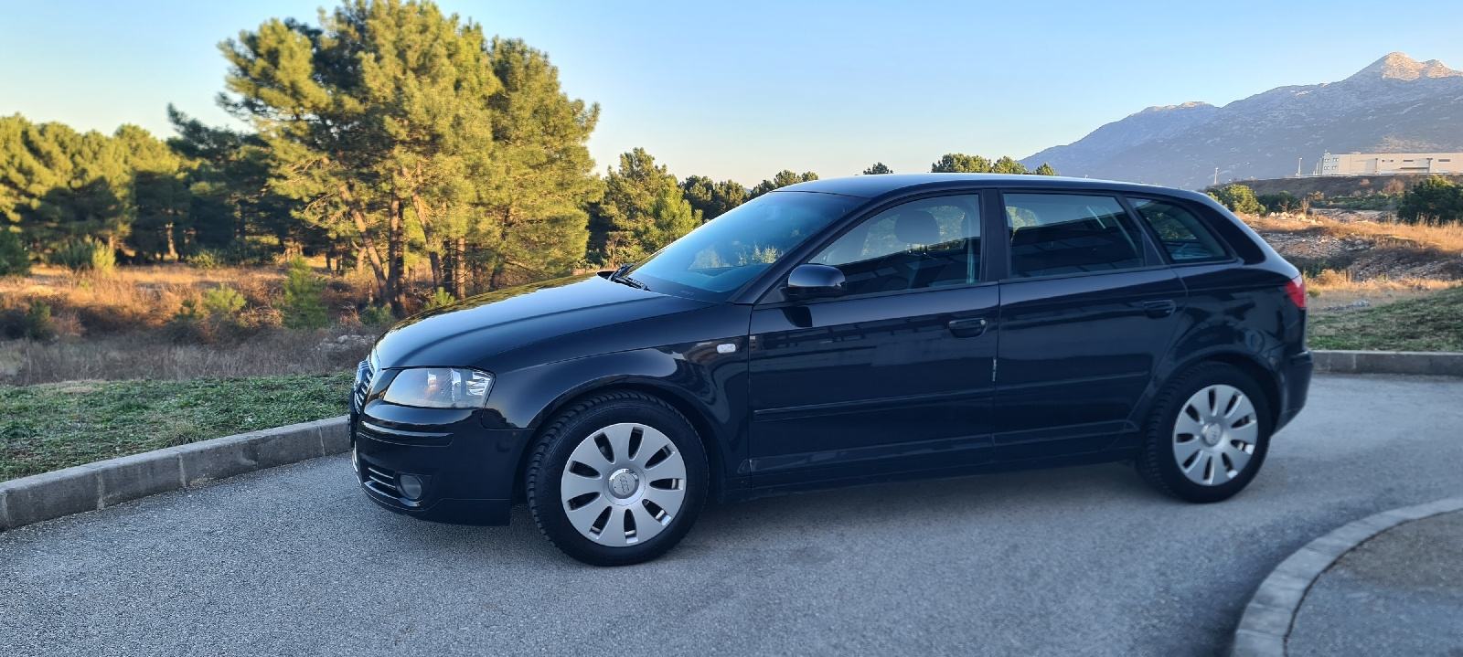 Audi A3 1,9 TDI, 2007 god., fotografija 8