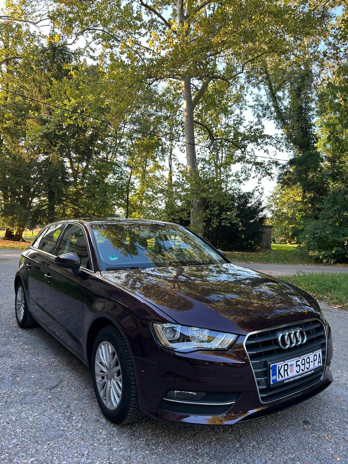 Audi A3 2,0 TDI ambition -ODLIČAN- puno opreme, fotografija 3