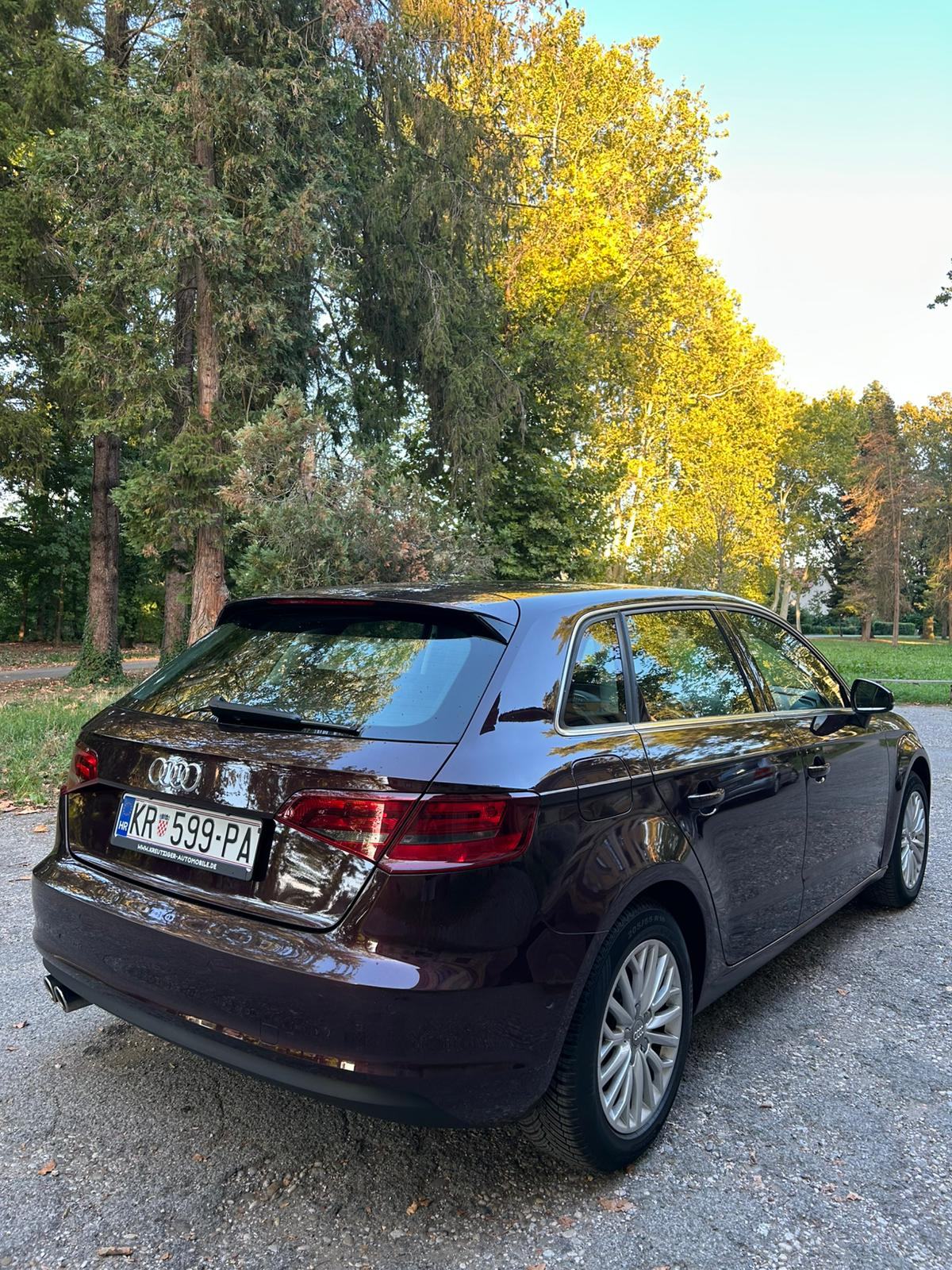 Audi A3 2,0 TDI ambition -ODLIČAN- puno opreme, fotografija 5