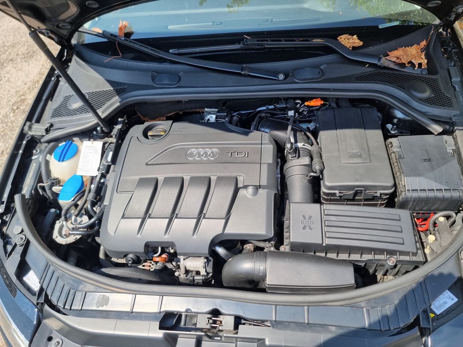 Audi A3 2,0 TDI, fotografija 8