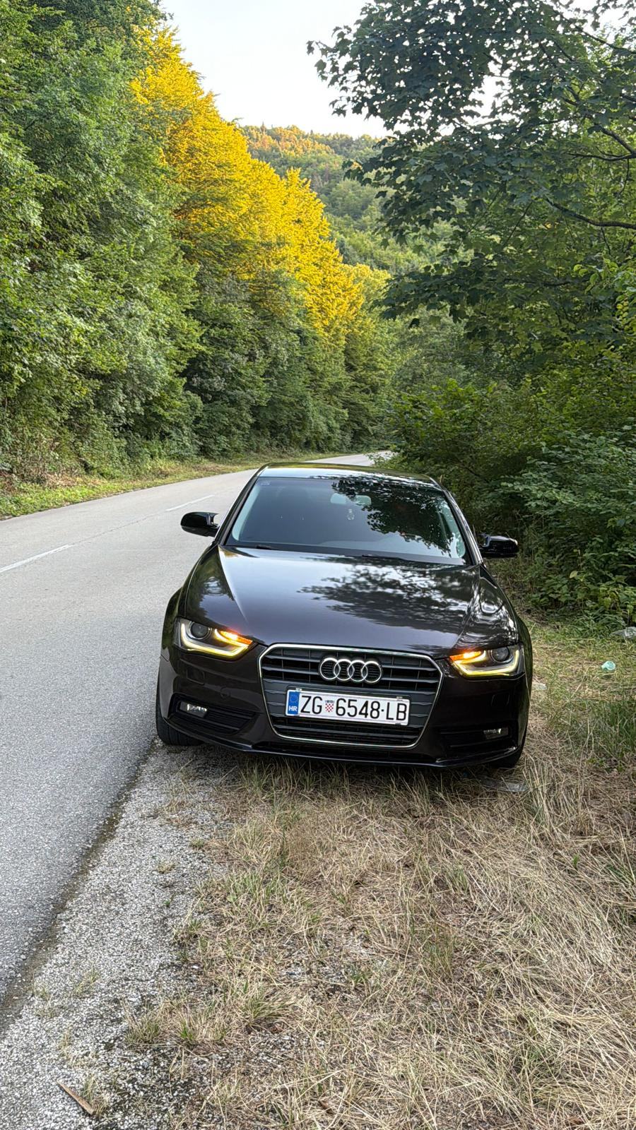 Audi A4 2,0 TDI, fotografija 2