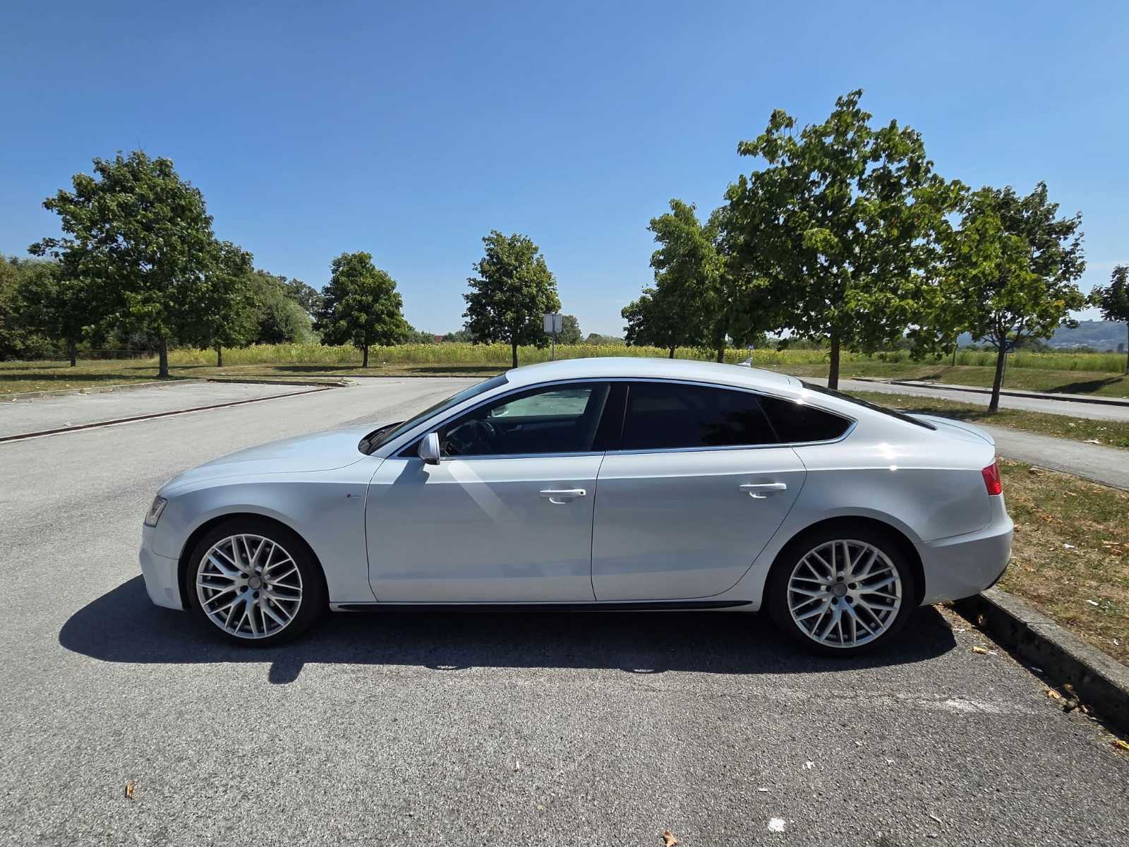 Audi A5 Sportback 2.0 TDI S-Line Black Edition 110 kW, fotografija 4