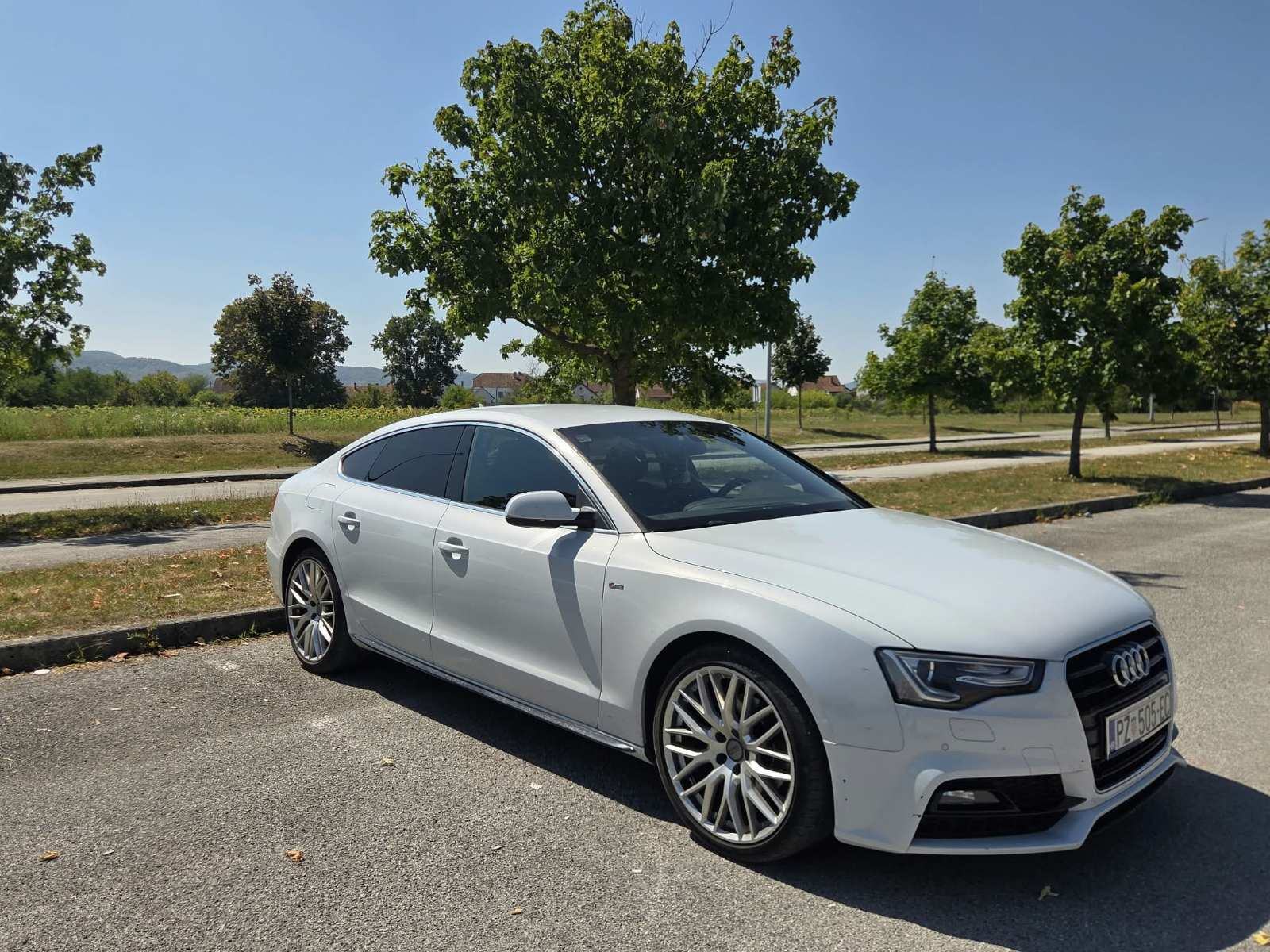 Audi A5 Sportback 2.0 TDI S-Line Black Edition 110 kW, fotografija 17
