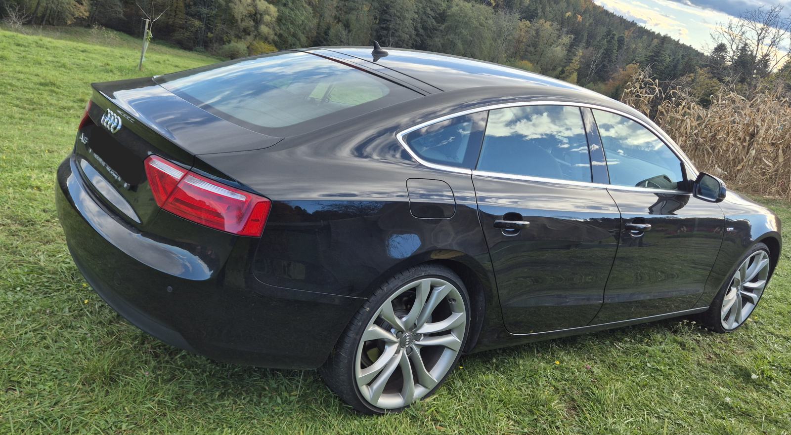 Audi A5 Sportback Ultra 2,0 TDI Sport, fotografija 5
