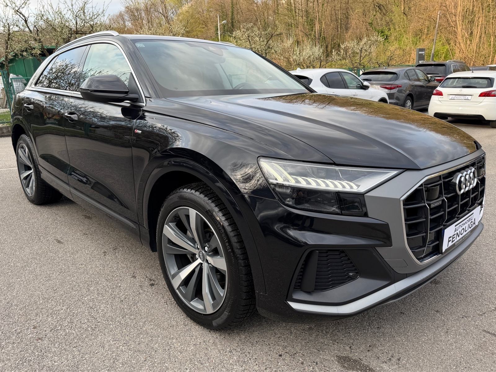Audi Q8 50 TDI QUATTRO,S-LINE,KOŽA,HLAĐENJE SJEDALA,RADAR,U PDV-U!, fotografija 3