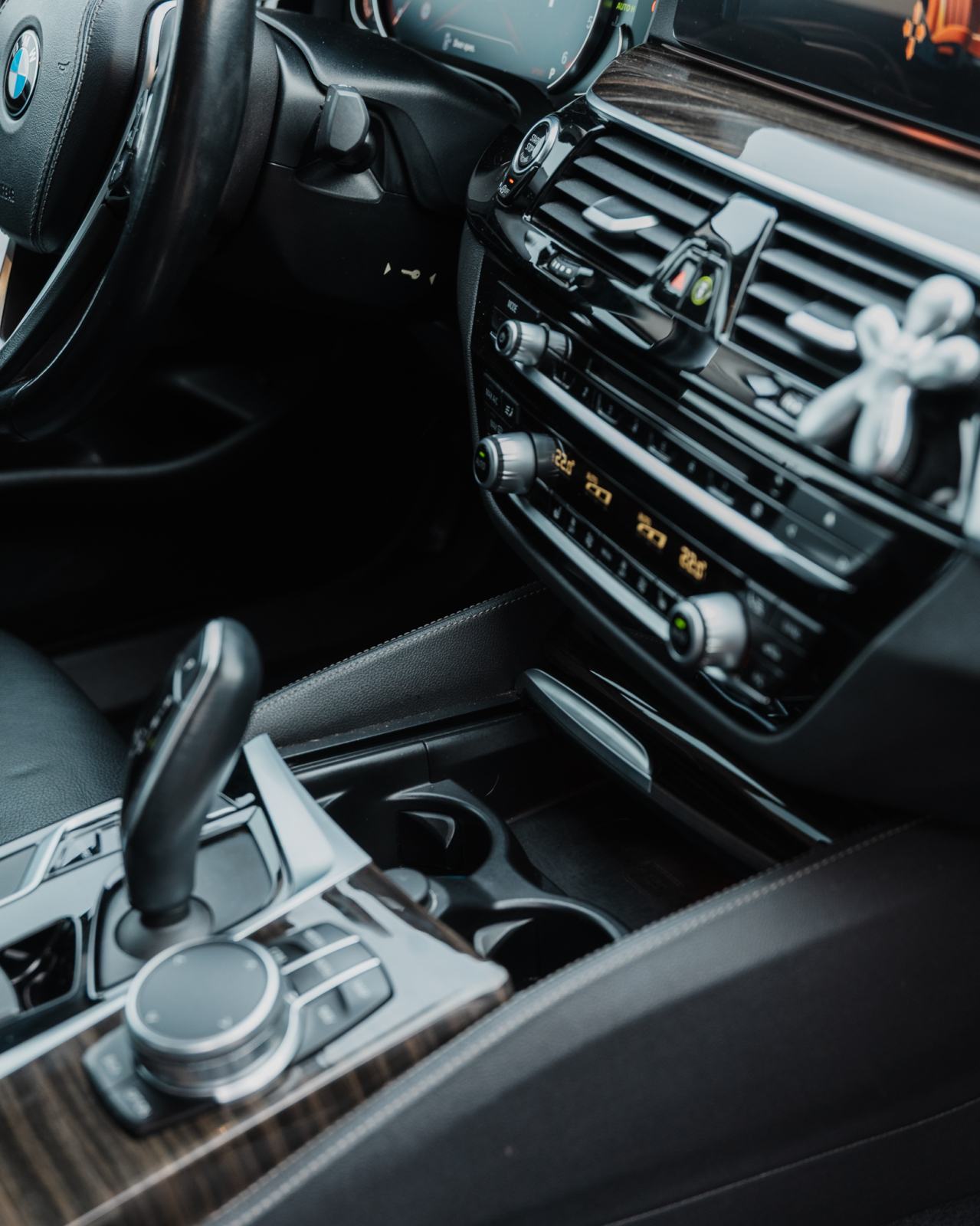 BMW 520d Luxury Line, fotografija 13