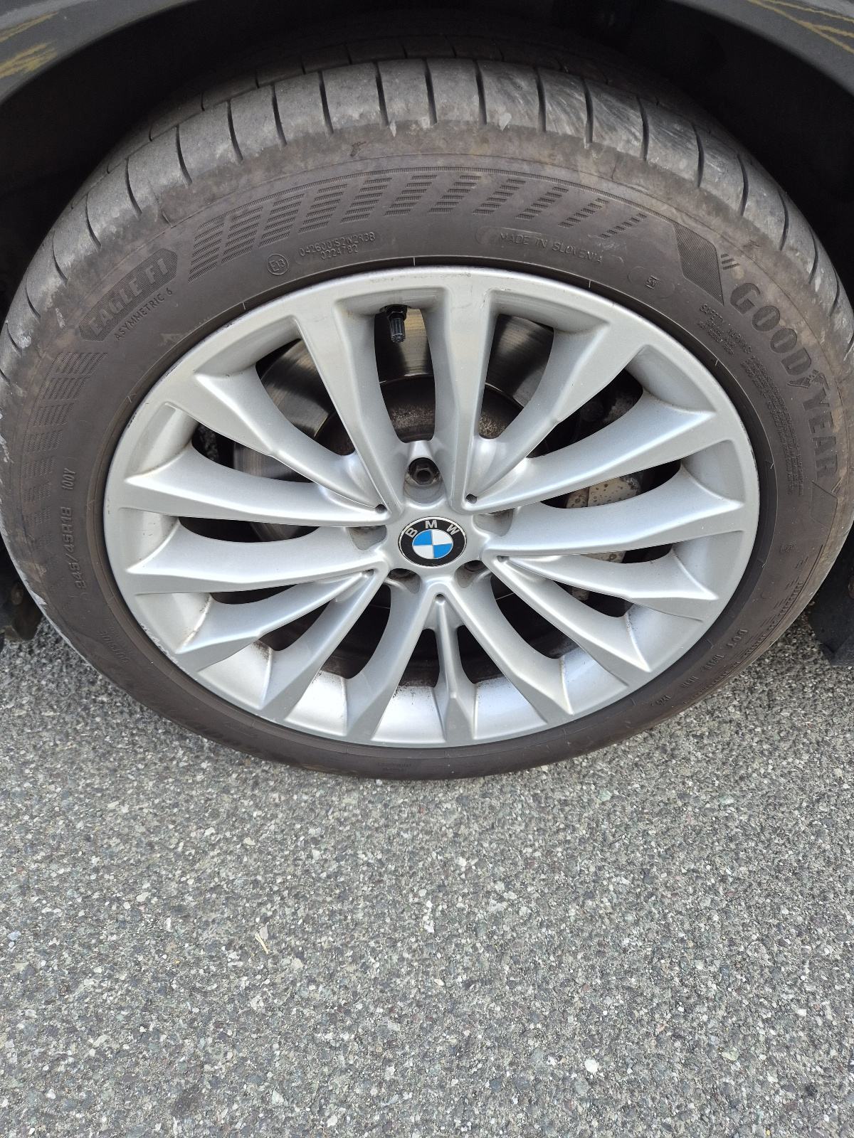 BMW 530d automatik Luxury Line, fotografija 9