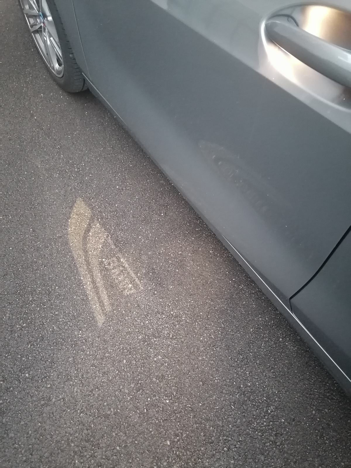 BMW serija 1 116i, fotografija 12