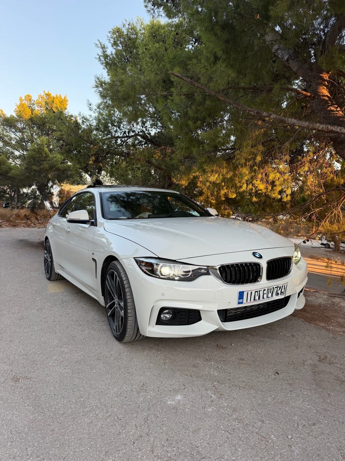 BMW serija 4 Gran Coupe 420d M Sport automatik, fotografija 11