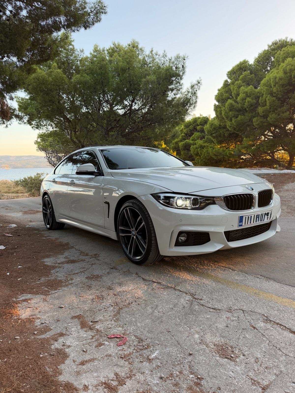 BMW serija 4 Gran Coupe 420d M Sport automatik, fotografija 12