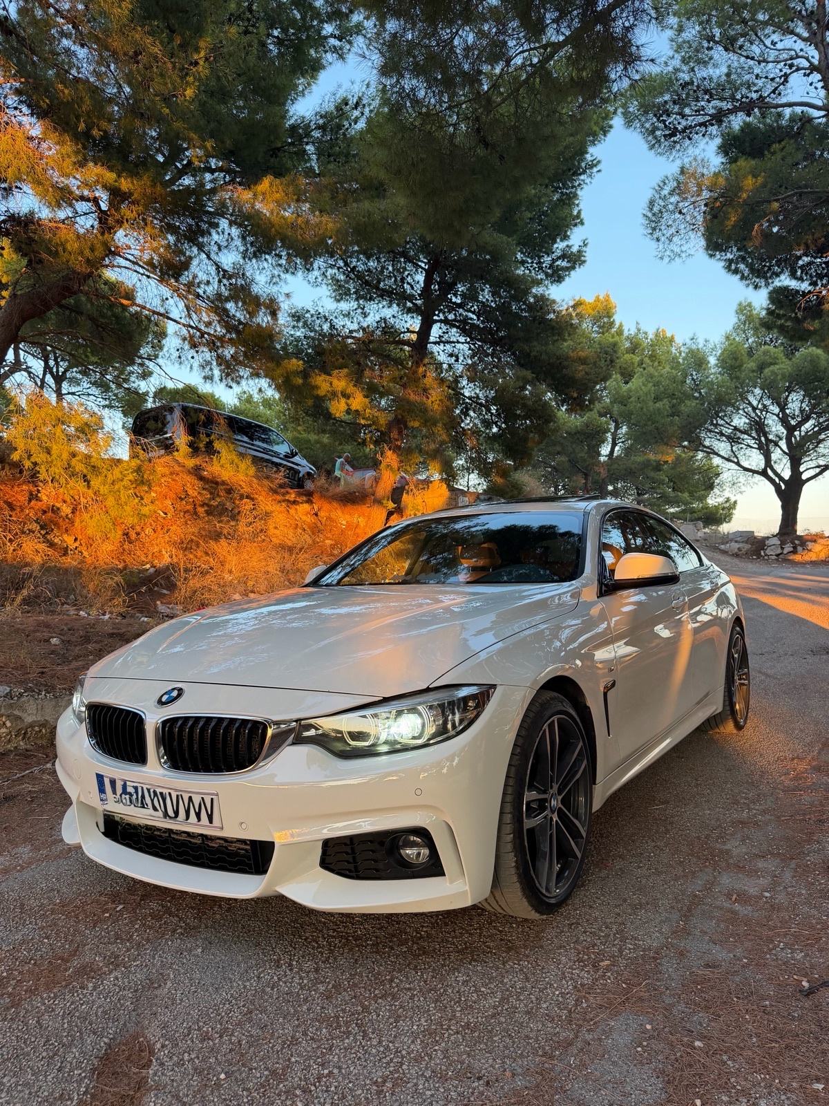 BMW serija 4 Gran Coupe 420d M Sport automatik, fotografija 20