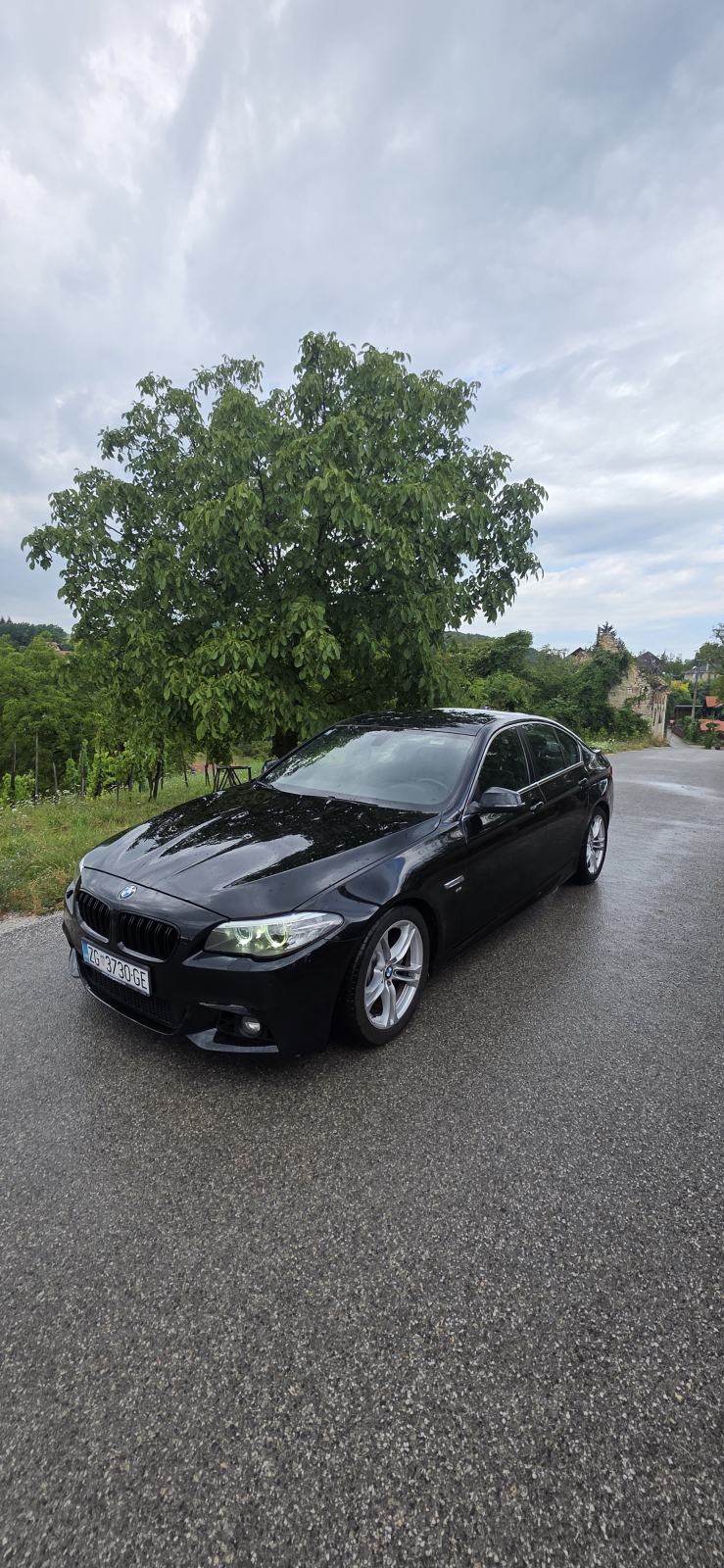 BMW serija 5 520d LCi automatik M paket 2017, fotografija 10