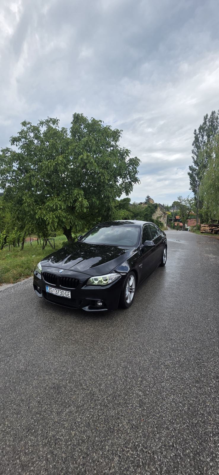 BMW serija 5 520d LCi automatik M paket 2017, fotografija 9