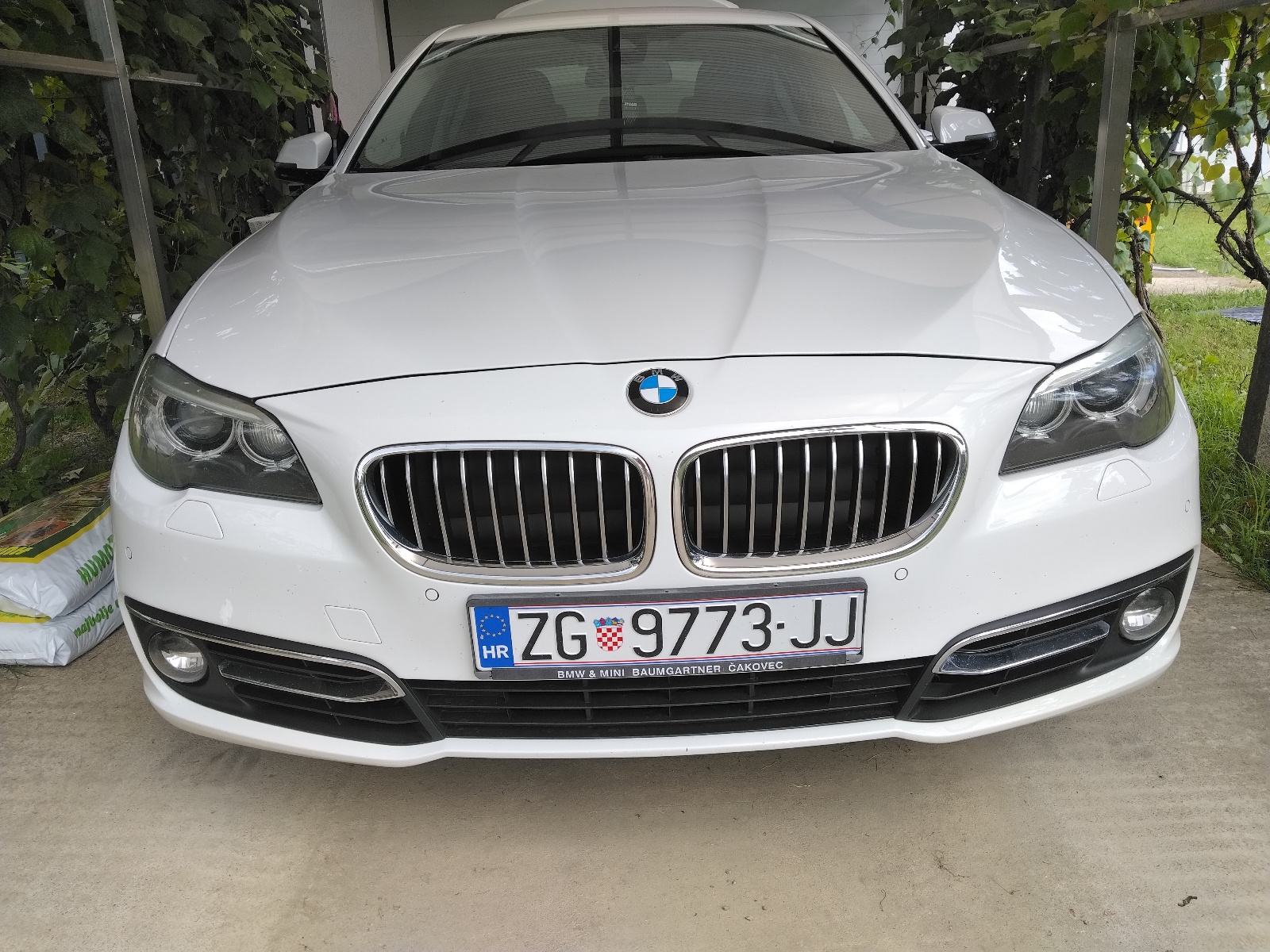 BMW serija 5 520xd luxury, fotografija 19