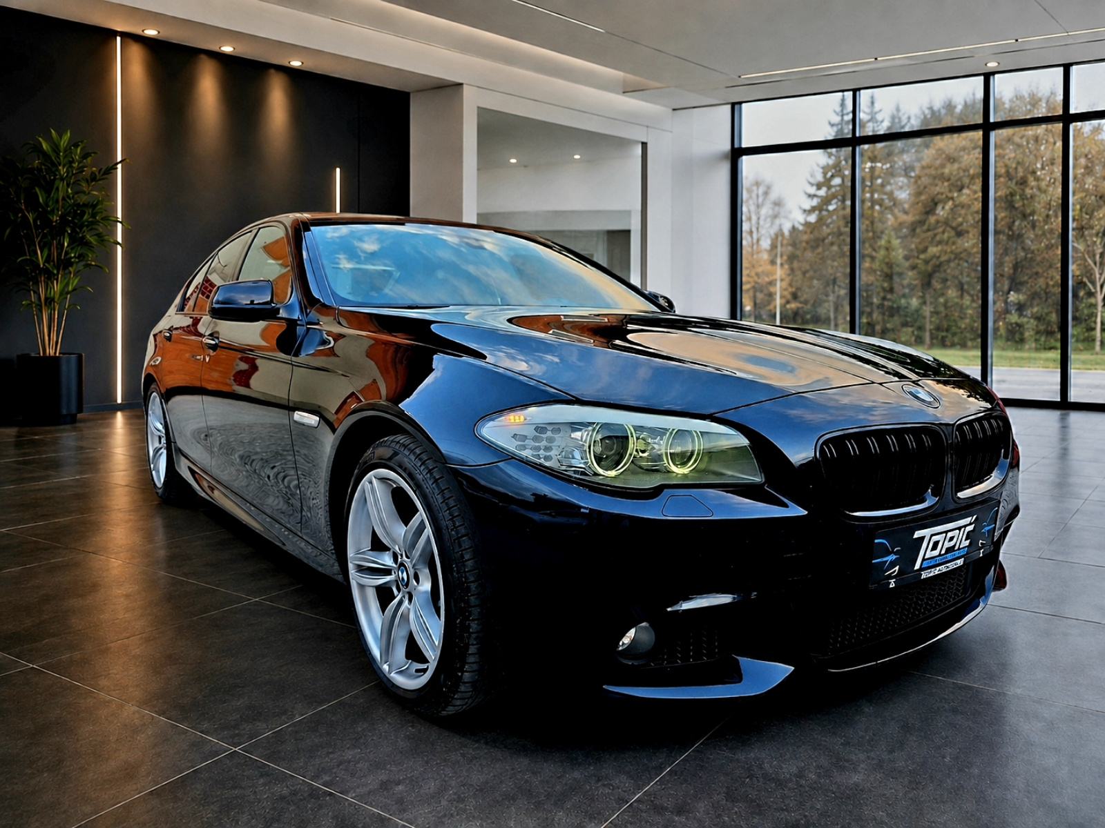 BMW serija 5 525xd ***M-PAKET***AUTOMATIK***VRHUNSKO STANJE***, fotografija 4