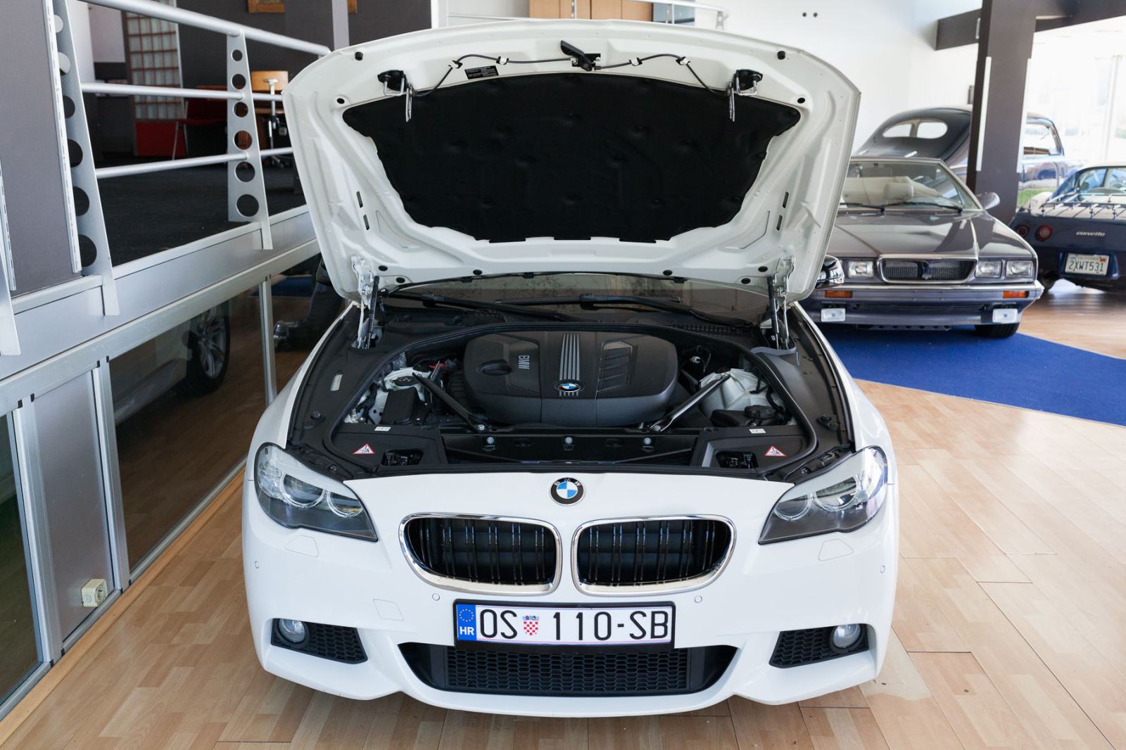 BMW 520D M paket /PRODAJA/ZAMJENA, fotografija 16