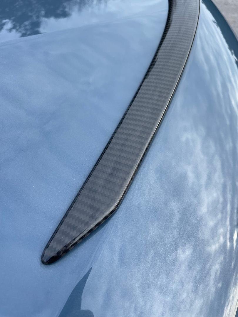 BMW M850i X CARBON EDITION, fotografija 12