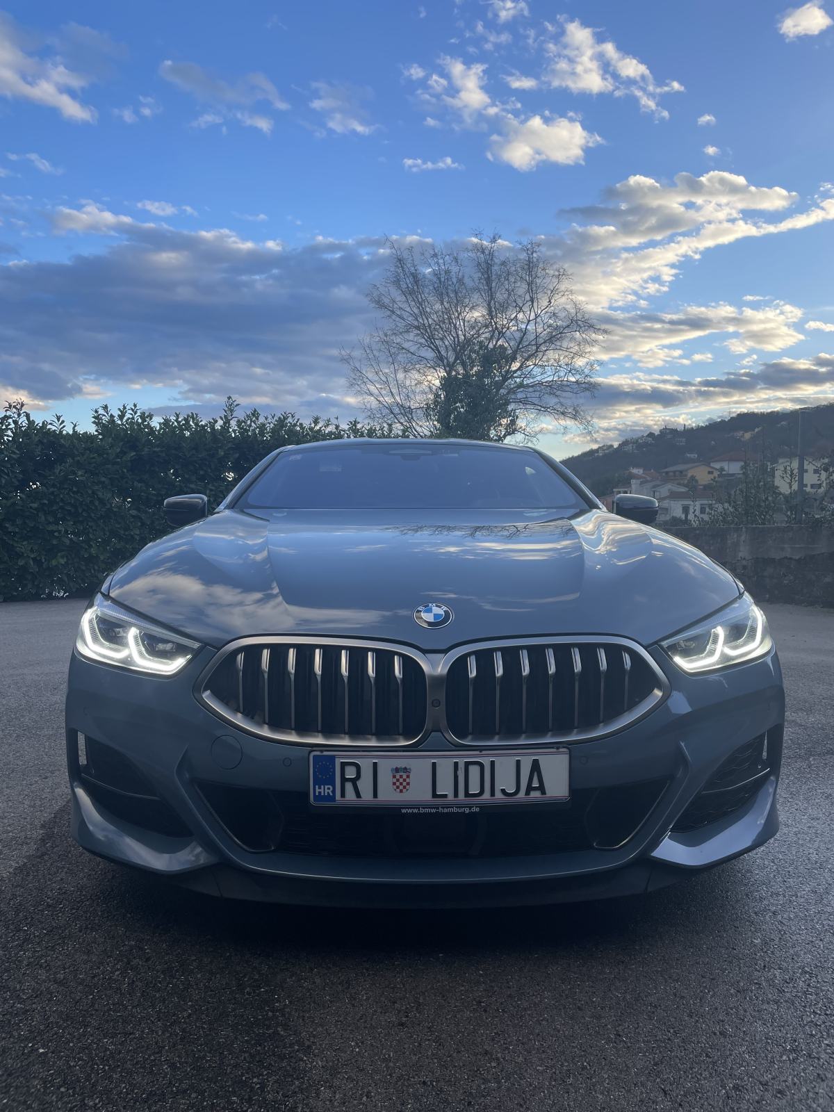 BMW M850i X CARBON EDITION, fotografija 2