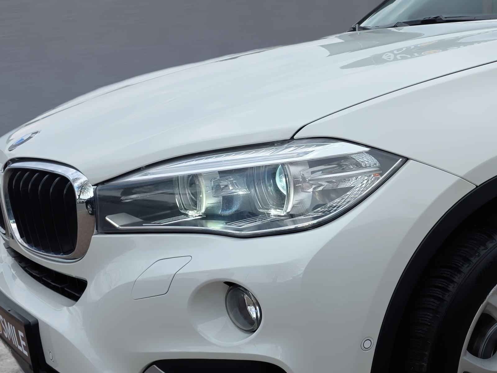 BMW X6 xDrive30d F1 AUT., 4X4, BI-XENON, AUT. KLIMA, NAVI, TEMP, KAM.., fotografija 9