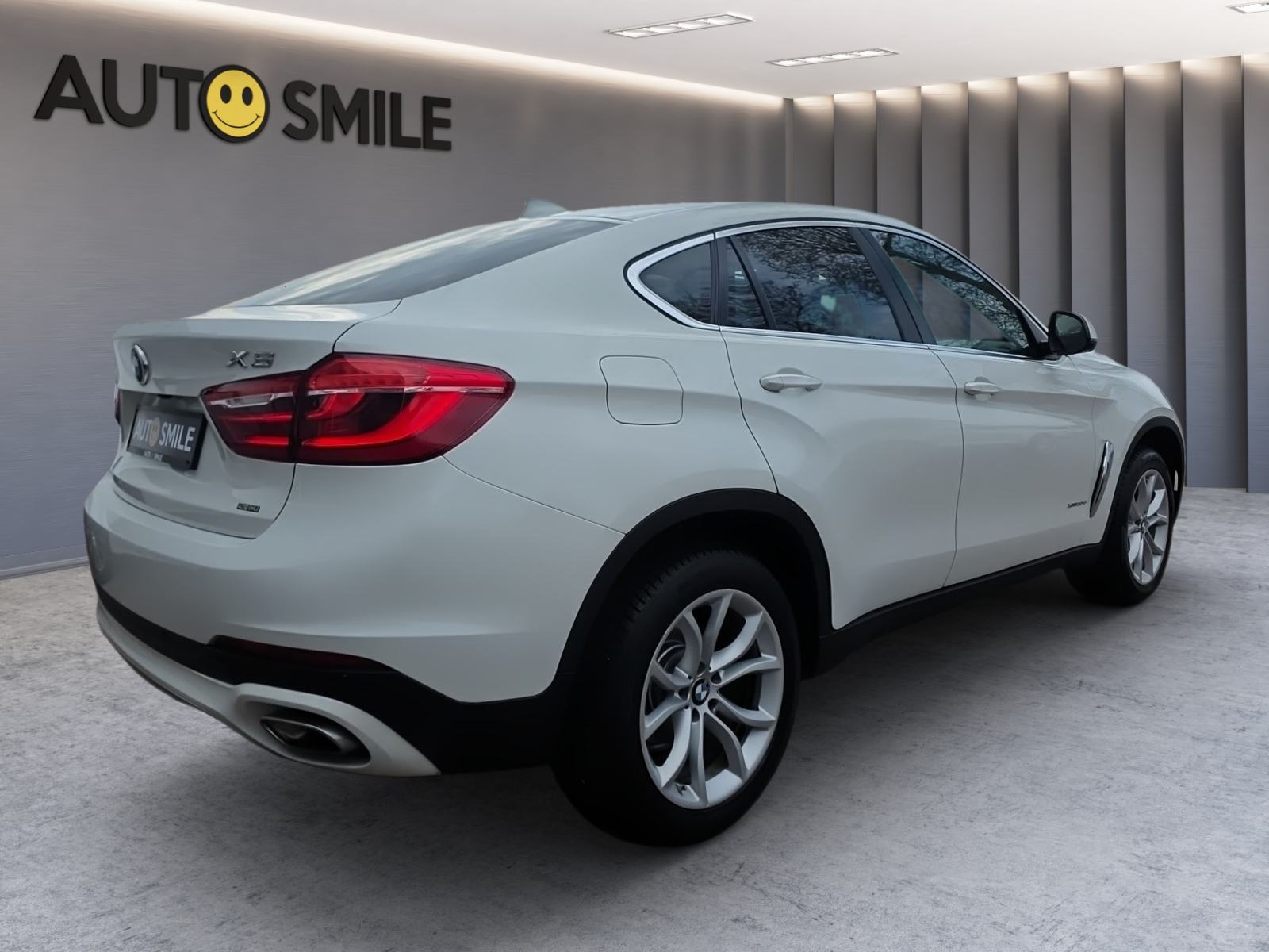 BMW X6 xDrive30d F1 AUT., 4X4, BI-XENON, AUT. KLIMA, NAVI, TEMP, KAM.., fotografija 6
