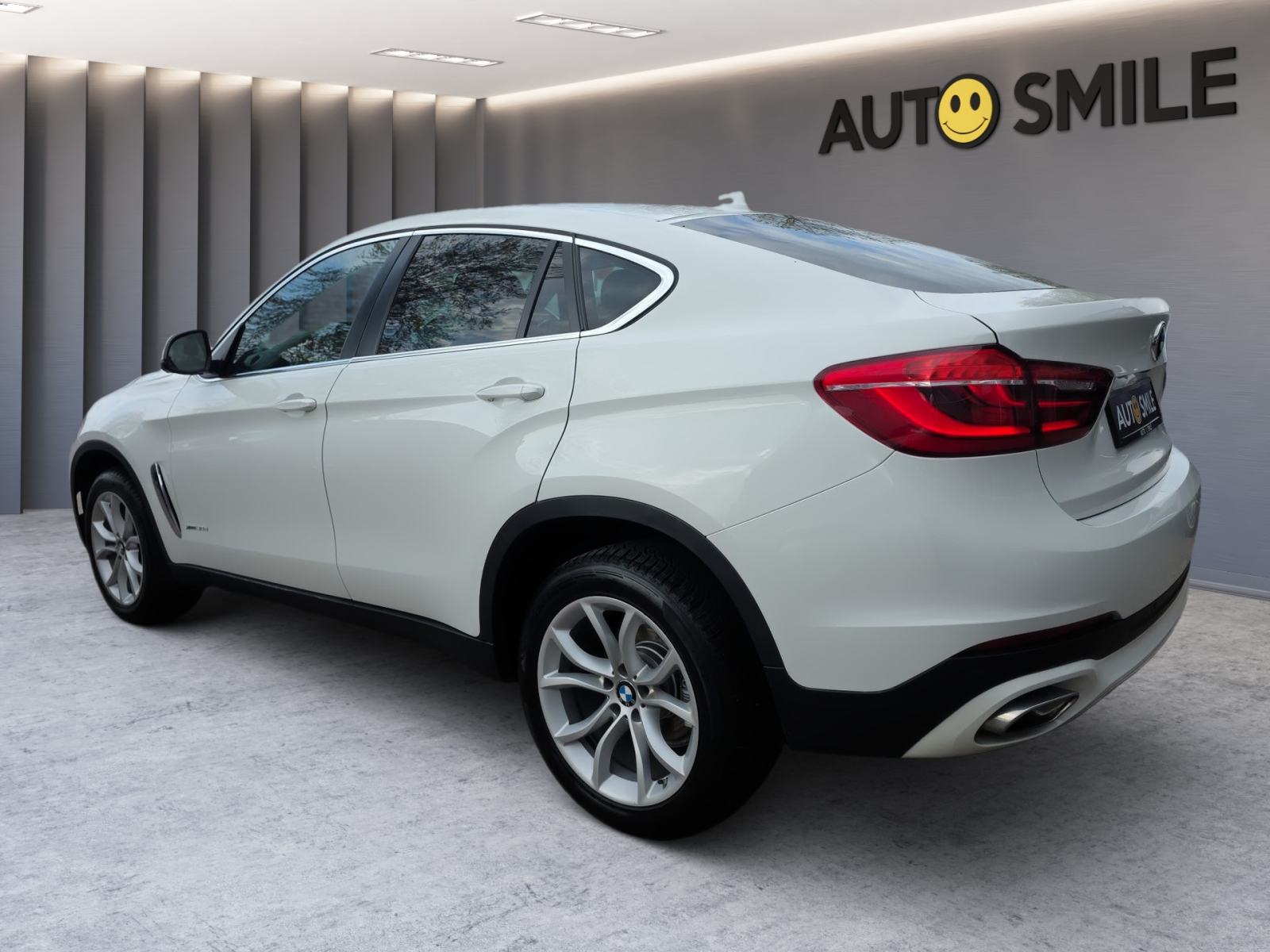 BMW X6 xDrive30d F1 AUT., 4X4, BI-XENON, AUT. KLIMA, NAVI, TEMP, KAM.., fotografija 4