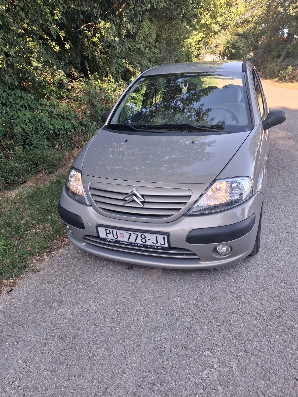 Citroën C3 1,4 HDi SX, pogled izvana - slika 1
