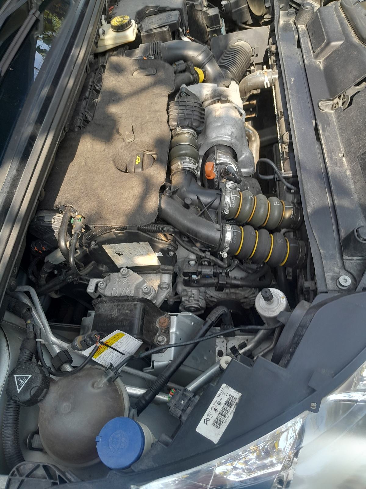 Citroën C4 1,6 HDi,MEDVEŠČAK,reg/5/27, fotografija 10