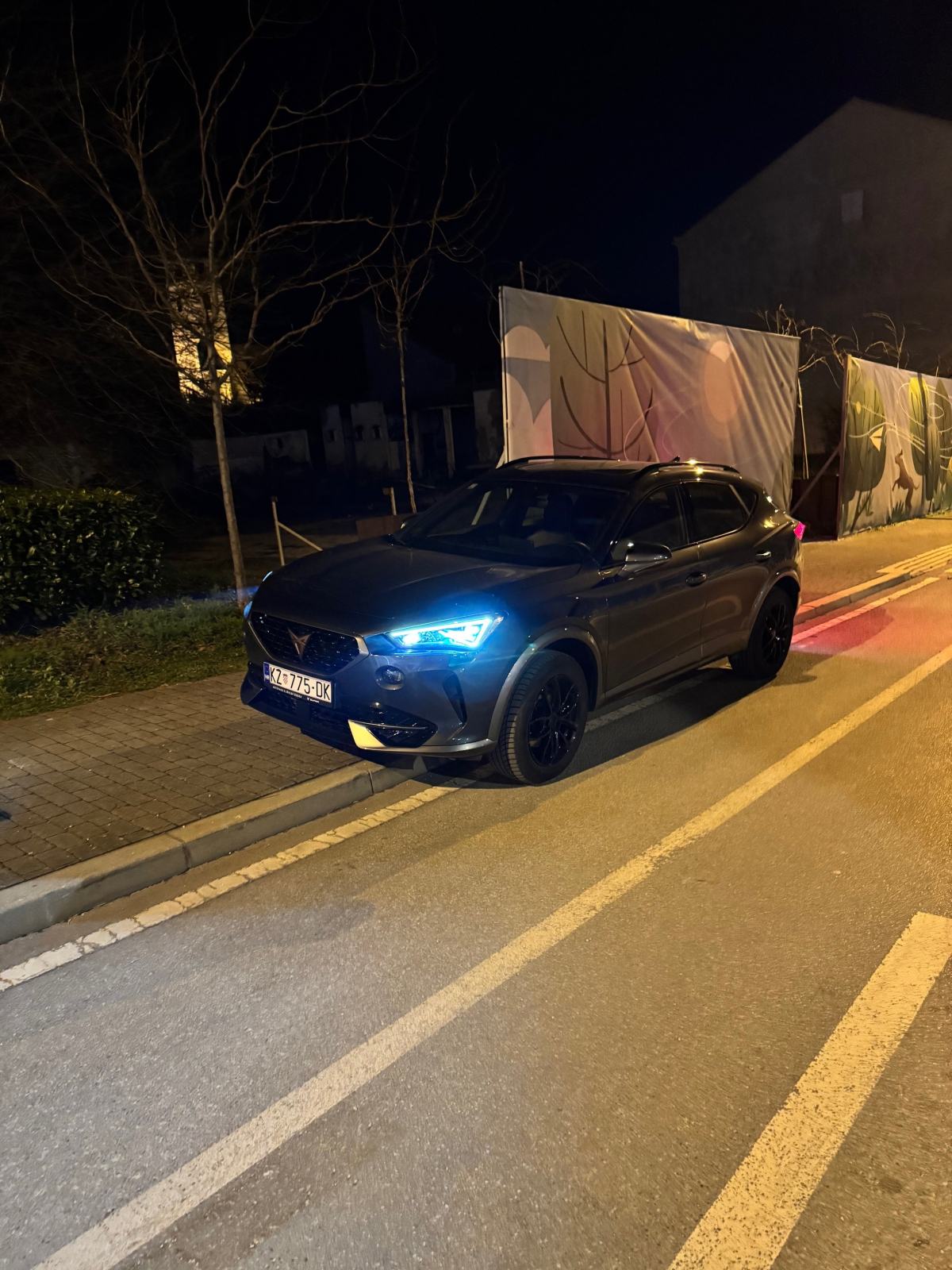 CUPRA FORMENTOR 1.5 TSI 150 KS,77 TKM, PANORAMA, LEASING, GARANCIJA, fotografija 9