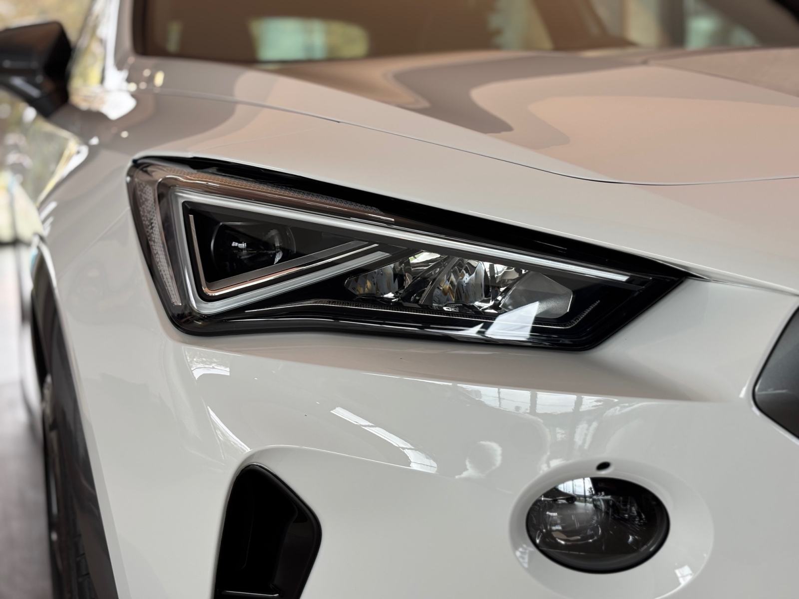 Cupra Formentor 1.5 TSI DSG - LED, ACC, alu 19", 22.000 km, fotografija 18