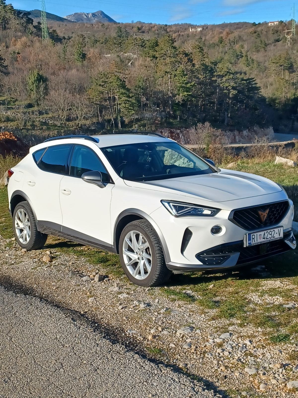 Cupra Formentor 2,0 TDI evo DSG 4Drive, fotografija 2