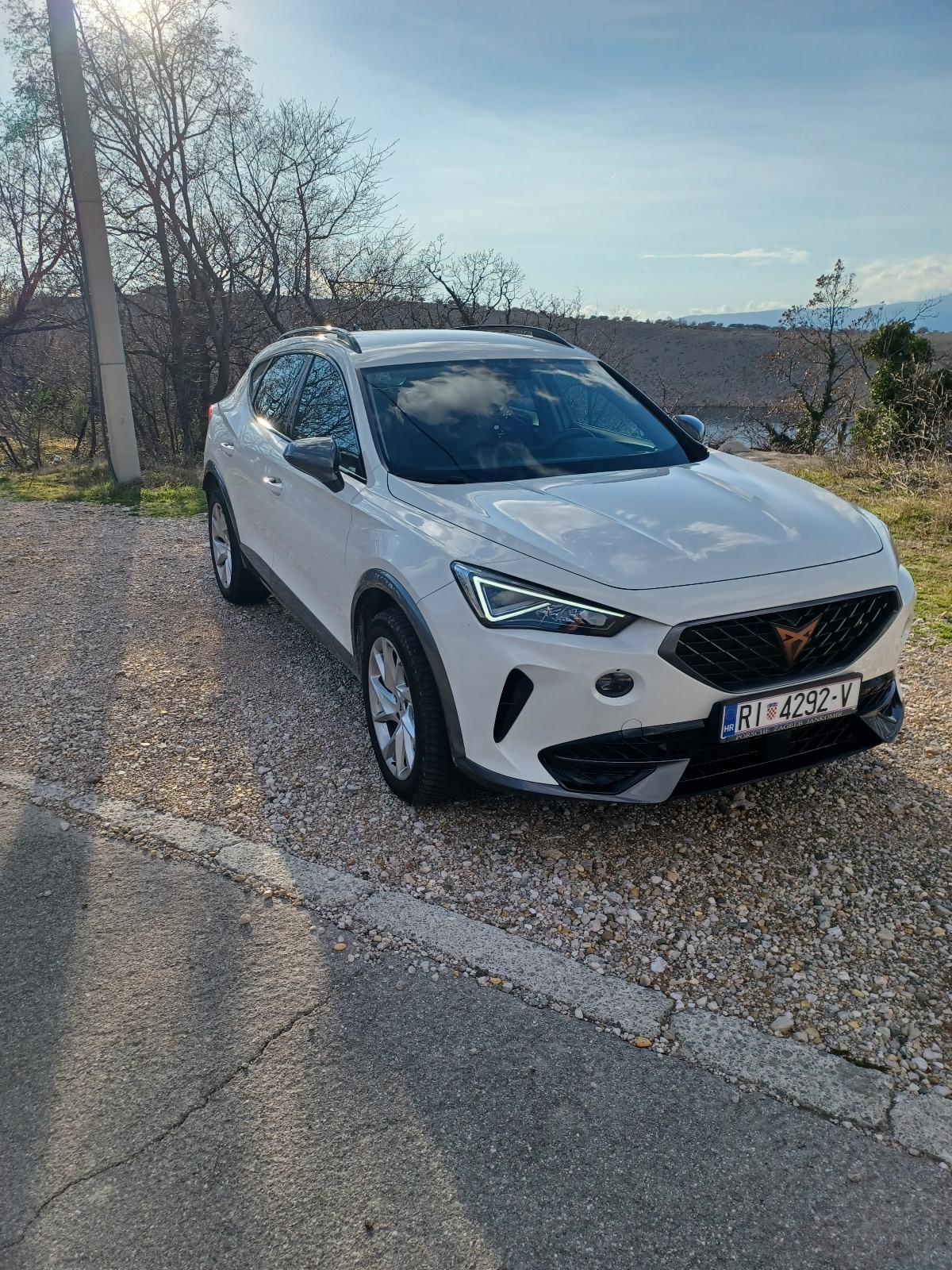 Cupra Formentor 2,0 TDI evo DSG 4Drive, fotografija 8