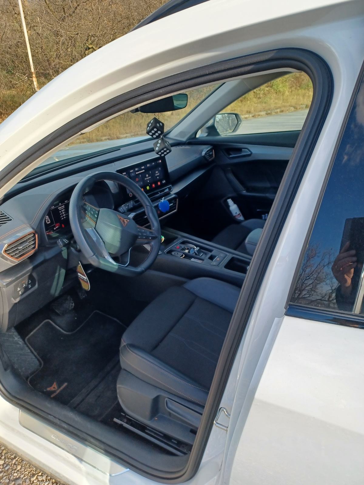 Cupra Formentor 2,0 TDI evo DSG 4Drive, fotografija 12